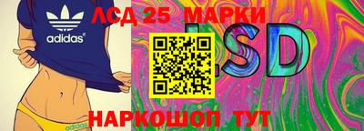 прущие грибы Малгобек