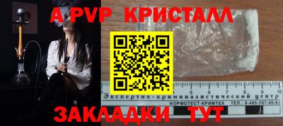 прущие грибы Малгобек
