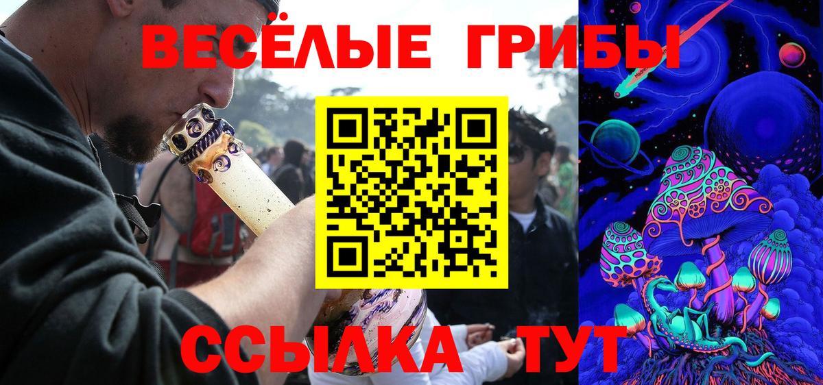 Якутск  Галлюциногенные грибы MAGIC MUSHROOMS  Вход с VPN  где купить наркоту  Псилоцибиновые грибы Cubensis 